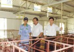 Phó Chủ tịch UBND tỉnh Nguyễn Quân Chính kiểm tra một số mô hình sản xuất, chăn nuôi trên địa bàn xã Hải Thượng