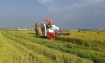 Nhân dân Gio Quang thu hoạch lúa bằng máy gặt