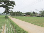Các tuyến đường tại thôn Quật Xá, xã Cam Thành đã được bê tông hóa