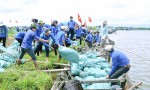 Đoàn viên thanh niên Hải Lăng tích cực tham gia nhiều hoạt động phục vụ nông nghiệp, nông thôn