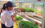 Học sinh Trường THCS Hướng Phùng rất thích thú với việc trồng rau sạch từ vỏ cà phê