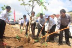Các đại biểu tham gia trồng cây tại buổi lễ phát động xây dựng xã nông thôn mới kiểu mẫu ở xã Hải Thượng