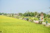 Một tuyến đường kiểu mẫu trên địa bàn xã Hải Hưng