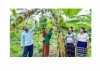 Đồng bào dân tộc Bru-Vân Kiều theo đạo Công giáo ở huyện Hướng Hóa thường xuyên chia sẻ kinh nghiệm nâng cao chất lượng, hiệu quả trong phát triển kinh tế