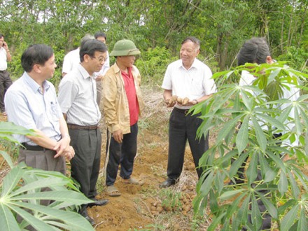 Đồng chí Lê Huy Ngọ, Cố vấn Chương trình mục tiêu quốc gia xây dựng nông thôn mới thăm nông dân thu hoạch môn ở xã Vĩnh Thạch