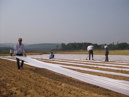 Ứng dụng KHCN để phát triển nông nghiệp bền vững