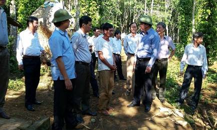 Bí thư Tỉnh ủy thăm mô hình trồng trọt, chăn nuôi kết hợp ở Gio Sơn