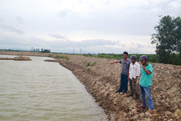 Khu vực hồ nuôi cá nước ngọt của nhóm hộ anh Trần Văn Thắng, ở xã Cam Thủy, Cam Lộ