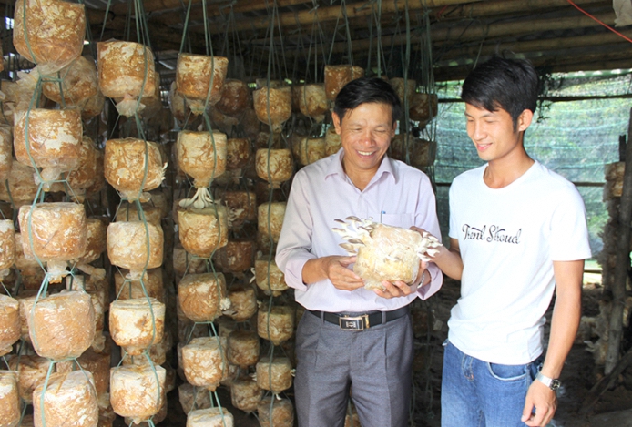 Mô hình trồng nấm của Nguyễn Mạnh Tuấn được chọn là một trong số mô hình điểm để nhân rộng ở địa phương
