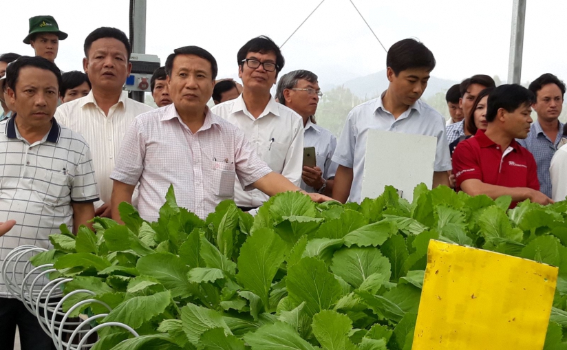 Phó Chủ tịch UBND tỉnh Quảng Trị Hà Sỹ Đồng cùng các đại biểu thăm mô hình trồng rau công nghệ ở Tam Đảo, Vĩnh Phúc.