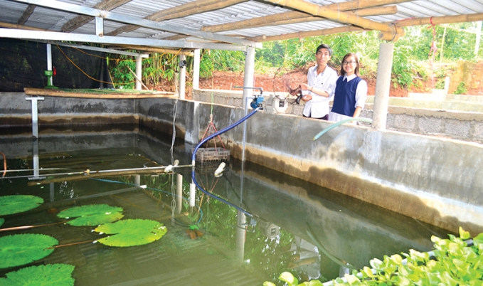 Mô hình nuôi cá chình của anh Trần Quốc Toản, thôn Lan Đình, xã Gio Phong hứa hẹn mang lại nhiều triển vọng