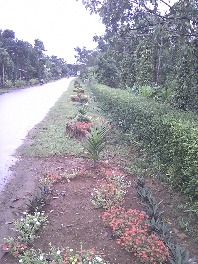 Một tuyến đường có hàng rào cây xanh, cây cảnh và hoa ở xã Cam Chính​