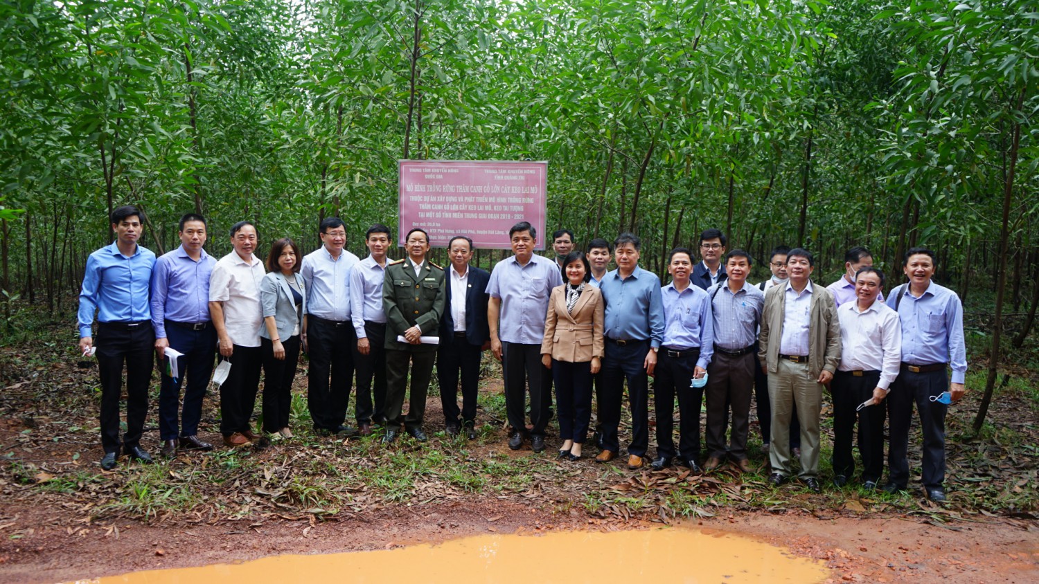 Đoàn công tác của Thứ trưởng Bộ NN và PTNT khảo sát vùng nguyên liệu gỗ rừng trồng tại HTX Phú Hưng, Hải Lăng