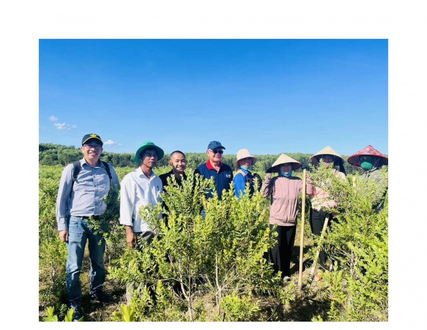 HTX Dược liệu Trường Sơn đã liên kết được 300 hộ dân của xã Cam Thành và Cam Thuỷ xây dựng vùng nguyên liệu rộng 30ha để trồng các loại cây dược liệu.
