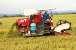 Nhờ ĐTDĐ, nông dân có điều kiện đưa máy móc vào thu hoạch mùa