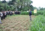 Các đại biểu tham quan mô hình trồng cỏ nuôi bò thâm canh tại thôn Bắc Bình, xã Cam Tuyền