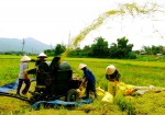 Nghiên cứu giải pháp KHCN phục vụ xây dựng nông thôn mới