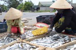 Mô hình hấp sấy cá của hội viên phụ nữ xã Gio Việt, huyện Gio Linh