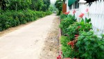 Một tuyến đường hoa tại xã Vĩnh Thủy