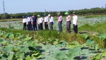 Phó Bí thư Thường trực Tỉnh ủy Nguyễn Đăng Quang kiểm tra mô hình sen cá tại xã Triệu Thượng