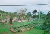 Huyện Vĩnh Linh công nhận 24 vườn mẫu nông thôn mới đạt chuẩn