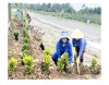 Phụ nữ xã Cam Hiếu, huyện Cam Lộ tham gia làm tuyến đường hoa góp phần xây dựng nông thôn mới