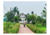 Nhiều làng quê khởi sắc nhờ phong trào nông thôn mới