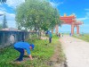 Phong trào chỉnh trang nông thôn ở xã Hải Dương