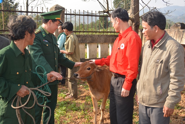 Ông Nguyễn Đình Chiến - Phó Chủ tịch tỉnh Hội và ông Hồ Ngọc Hoàng - Phó Chính ủy Bộ đội Biên phòng tỉnh tặng bò cho người dân