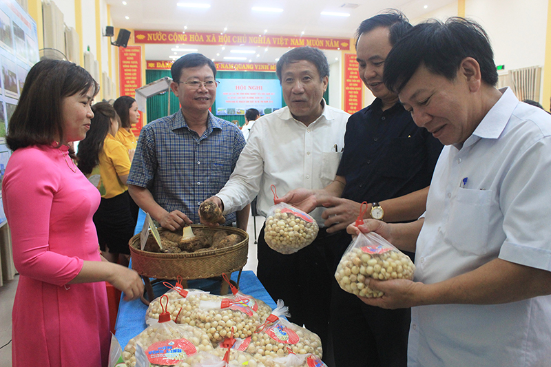 Đồng chí Hà Sỹ Đồng, Phó Chủ tịch UBND tỉnh tìm hiểu thông tin về một số sản phẩm nông sản sạch được trưng bày tại hội nghị