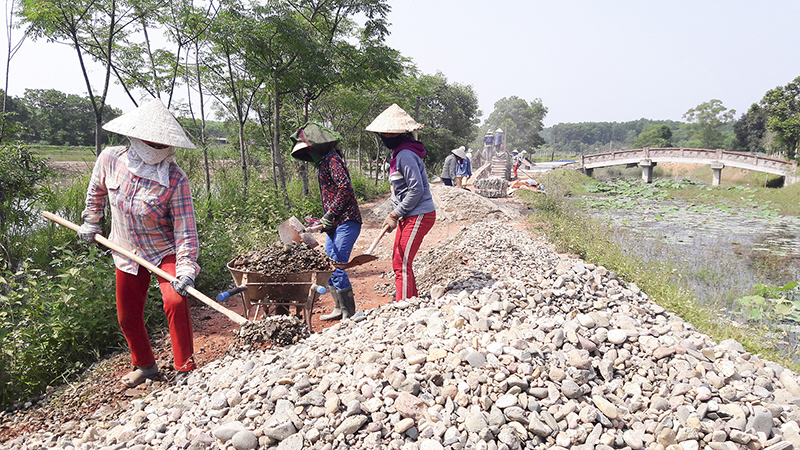 Người dân huyện Hải Lăng làm đường giao thông nông thôn