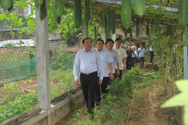 Xây dựng Cam Lộ trở thành huyện nông thôn mới đầu tiên của Quảng Trị