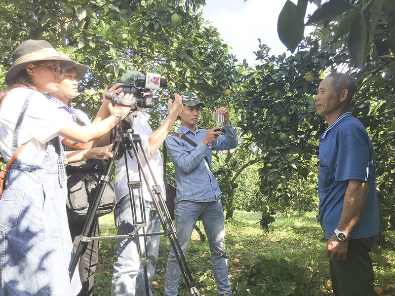 Các nhà báo tác nghiệp tại một vườn cam trên vùng đồi K4, xã Hải Phú, Hải Lăng​