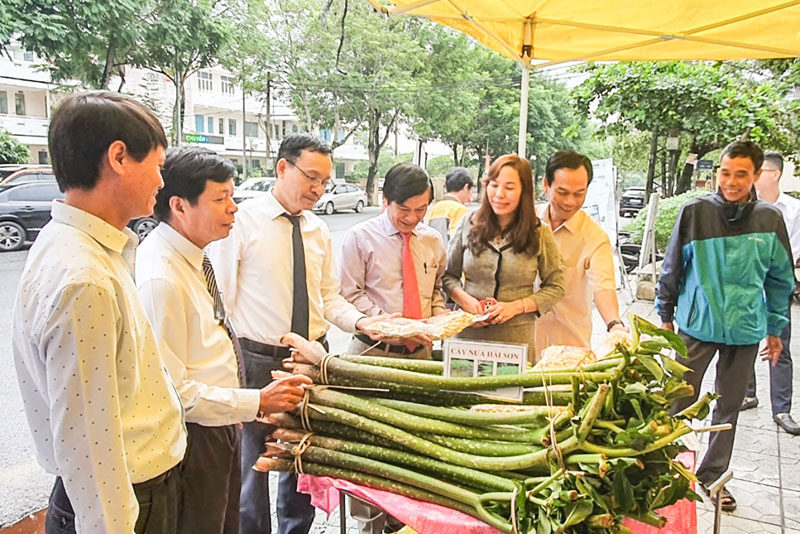 Sản phẩm cây nưa của xã Hải Sơn trưng bày tại gian hàng kết nối nông sản do huyện Hải Lăng tổ chức - Ảnh: T.L