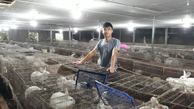 Trang trại nuôi thỏ của Võ Phi Hùng - Ảnh: L.T
