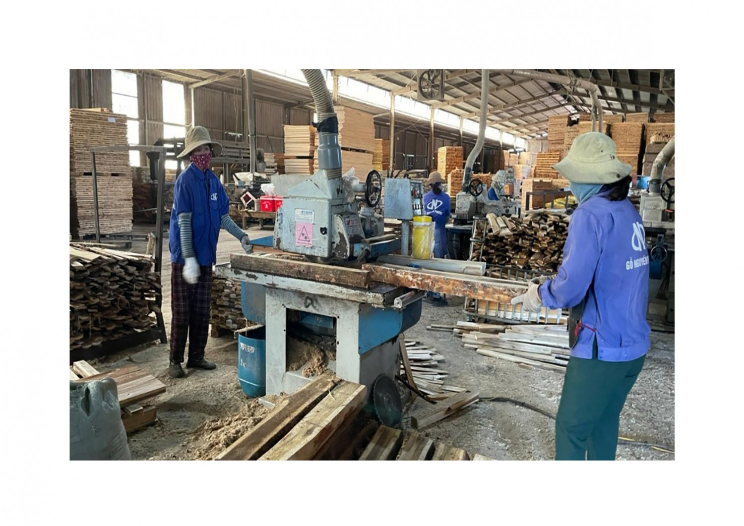 Chế biến gỗ rừng trồng tại Cụm công nghiệp - Làng nghề Ái Tử, huyện Triệu Phong