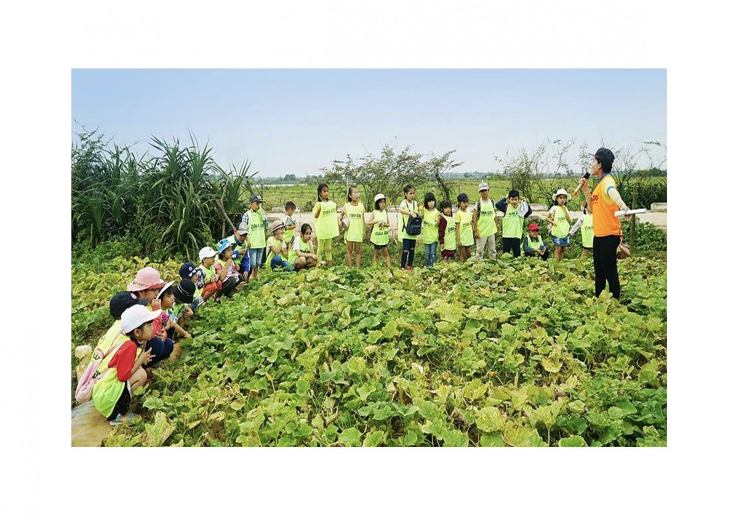 Học sinh tham gia tour du lịch trải nghiệm tại ruộng dưa xã Triệu Độ, huyện Triệu Phong do Trung tâm Kỹ năng sống Zuna Edu tổ chức