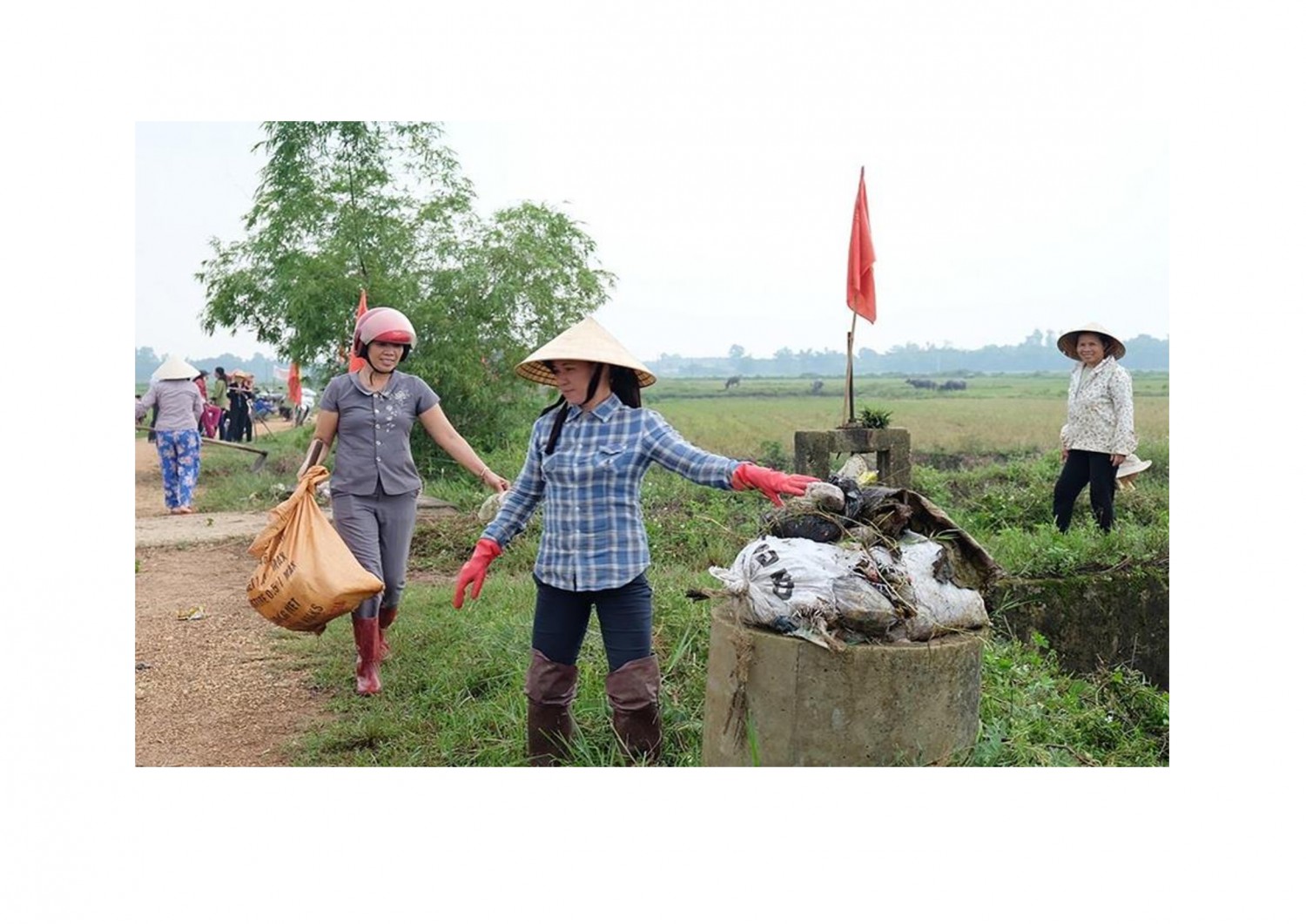 Thu gom rác thải trên đồng ruộng xã Vĩnh Long, huyện Vĩnh Linh