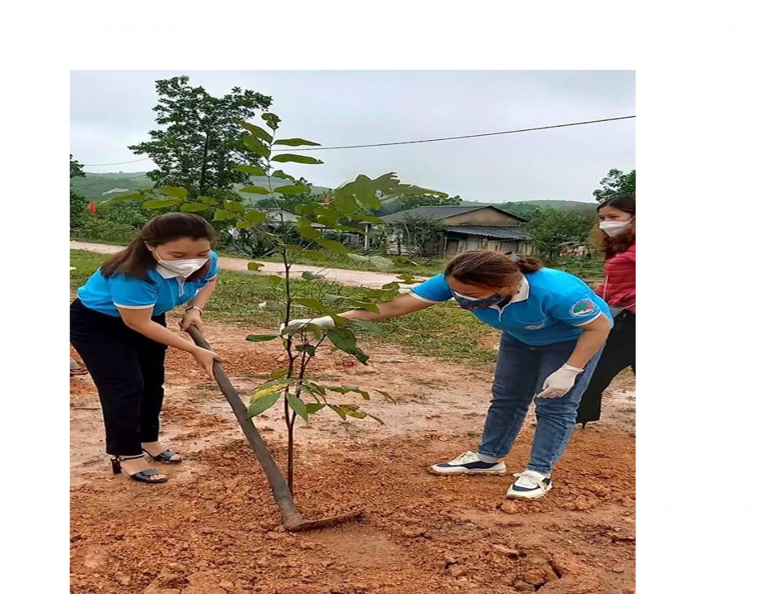 Phụ nữ huyện Gio Linh tham gia trồng cây xanh, góp phần tạo cảnh quan, bảo vệ môi trường