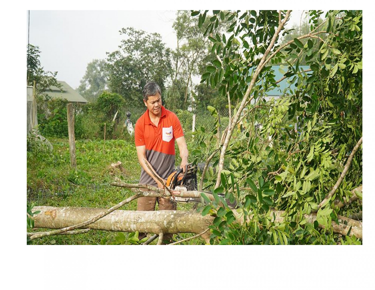 Anh Hoàng Văn Bình cắt cây để hiến đất cho thôn xây dựng khu vui chơi giải trí