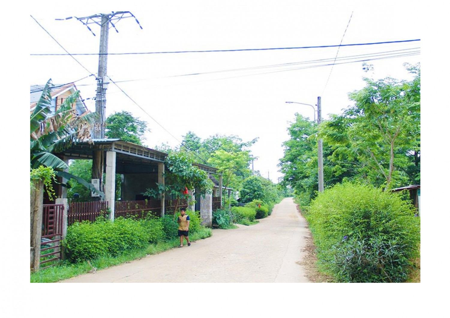 Hạ tầng giao thông, điện được đầu tư phục vụ đời sống người dân xã Linh Trường, huyện Gio Linh