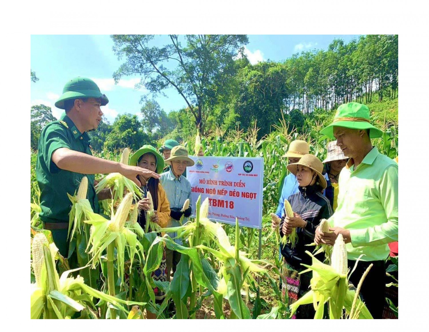 Cán bộ Đồn Biên phòng Hướng Phùng hướng dẫn người dân địa phương sản xuất ngô nếp