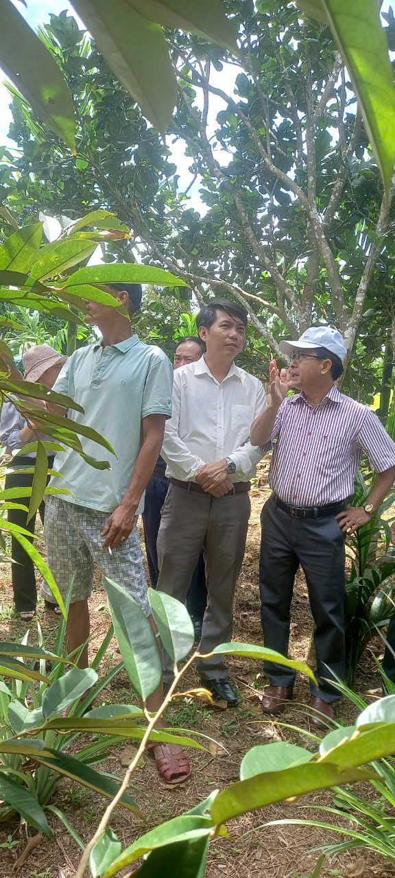 Đoàn học tập kinh nghiệm xây dựng nông thôn mới tỉnh Quảng Trị trao đổi kinh nghiệm xây dựng mô hình PTSX trông cây ăn quả  tại huyện Bắc Trà My, tỉnh Quảng Nam