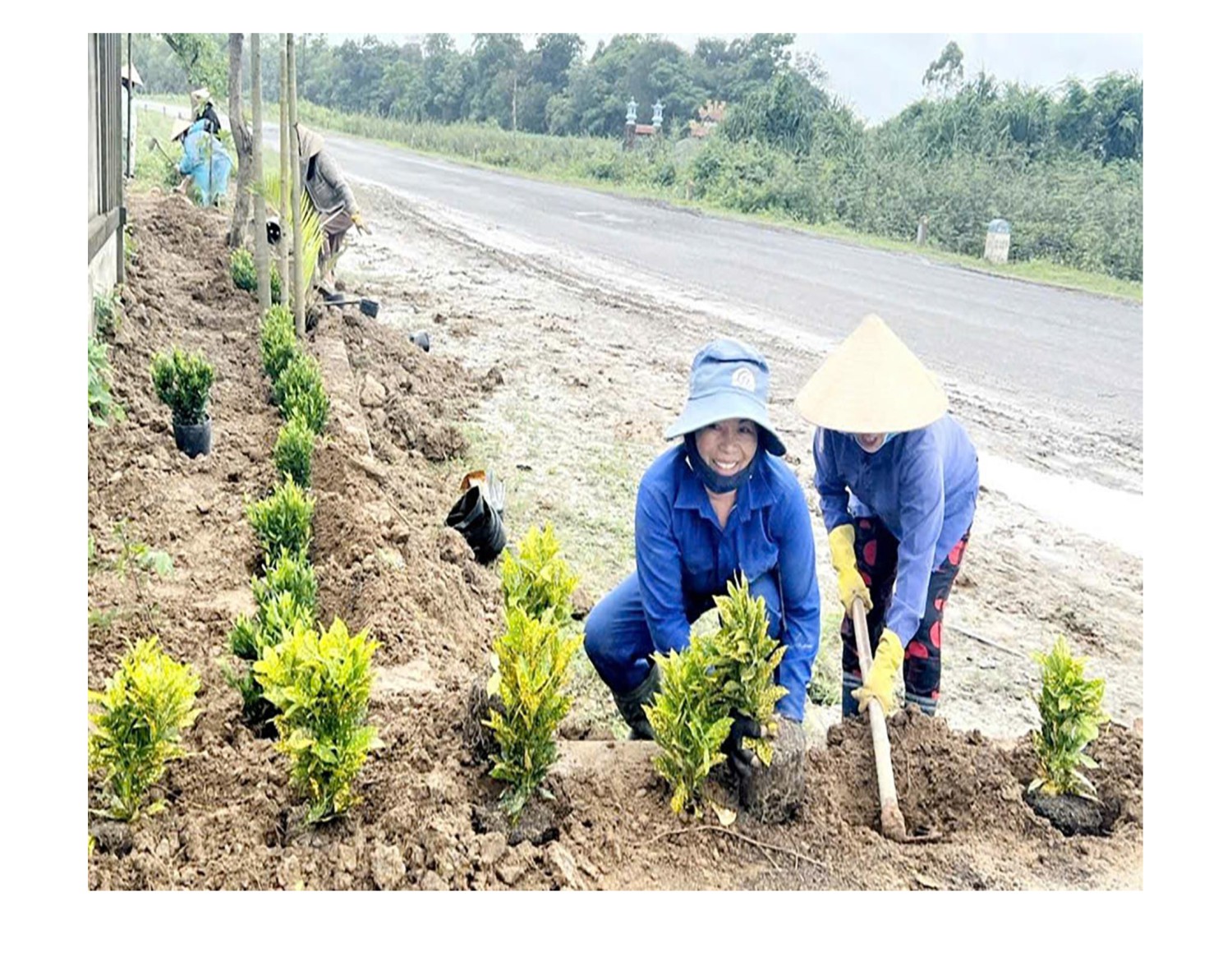 Phụ nữ xã Cam Hiếu, huyện Cam Lộ tham gia làm tuyến đường hoa góp phần xây dựng nông thôn mới