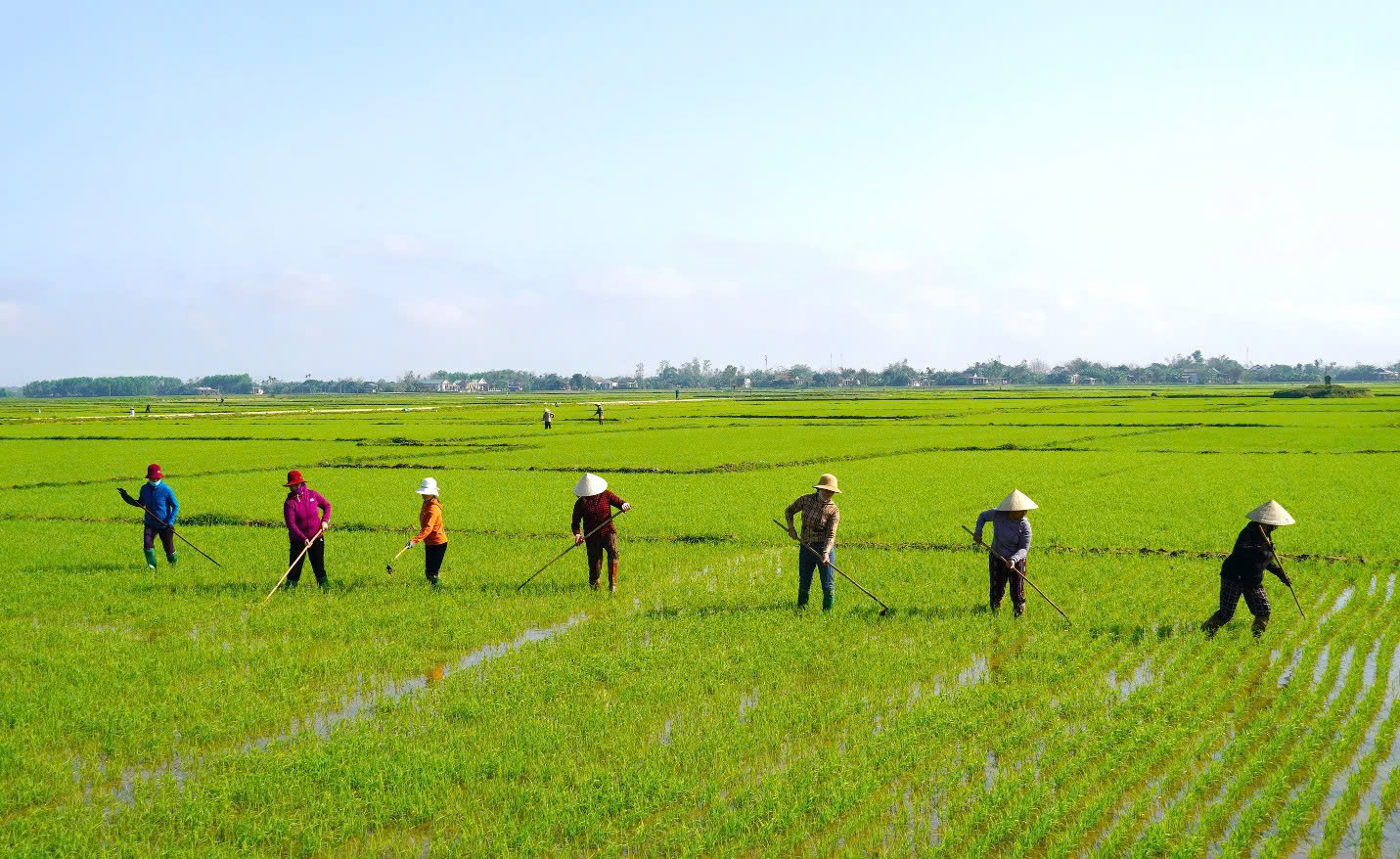 Ban hành Bộ tiêu chí quốc gia về nông thôn mới giai đoạn 2026-2030