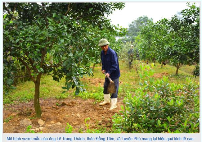 Hướng đến xây dựng nông thôn mới bền vững