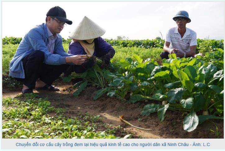 Nông thôn mới, diện mạo mới